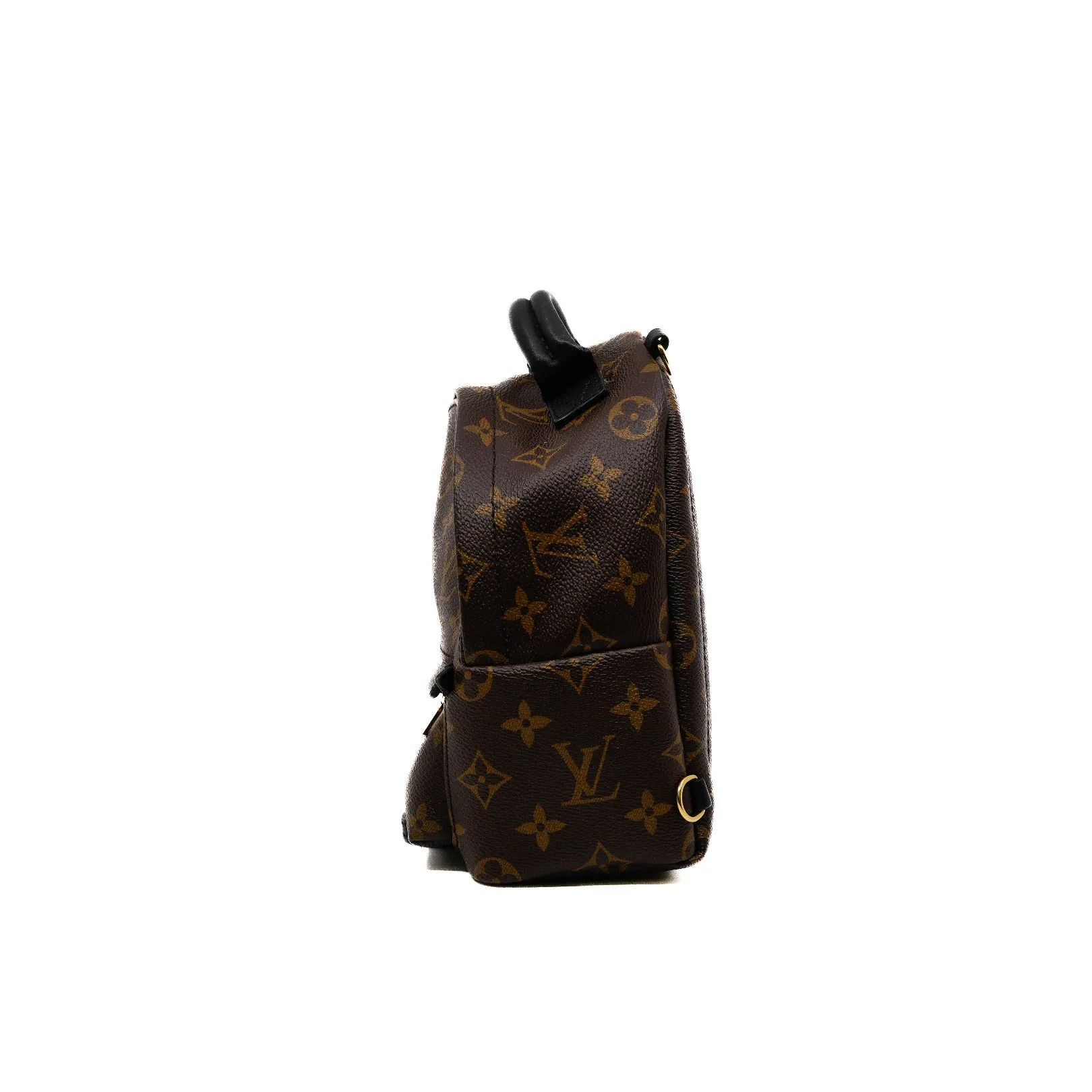 Palm Springs Mini Monogram Backpack 2016 with Strap