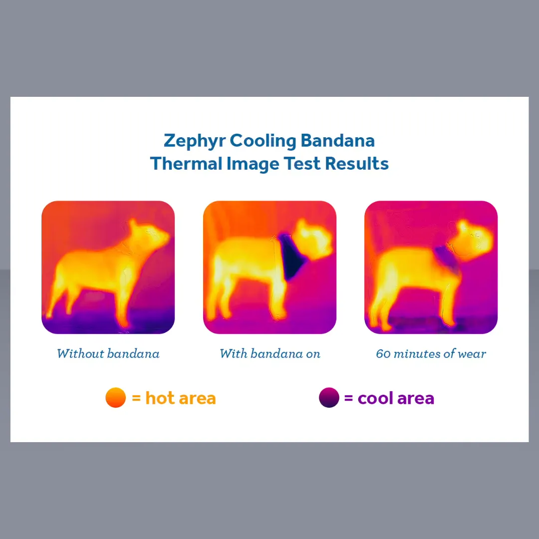 RC Pet Zephyr Cooling Bandana Zesty M/L